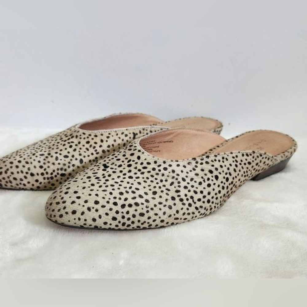 Caslon Callie Suede Mules